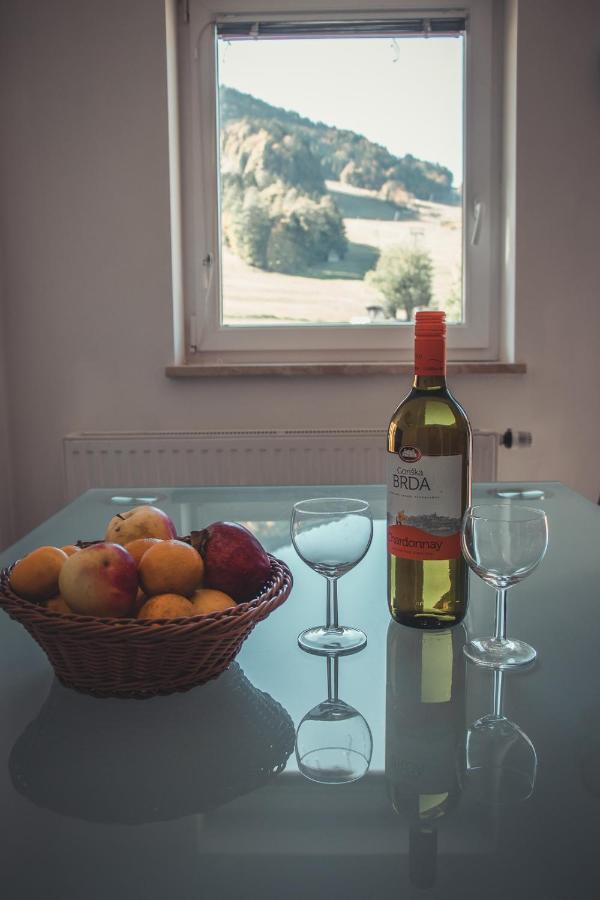 Apartma Soncek, On The Ski Slopes, Balcony, Private Parking 克拉尼斯卡戈拉 外观 照片